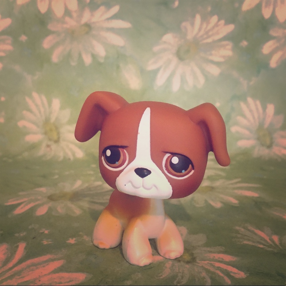 LPS rare G1 natural Boxer